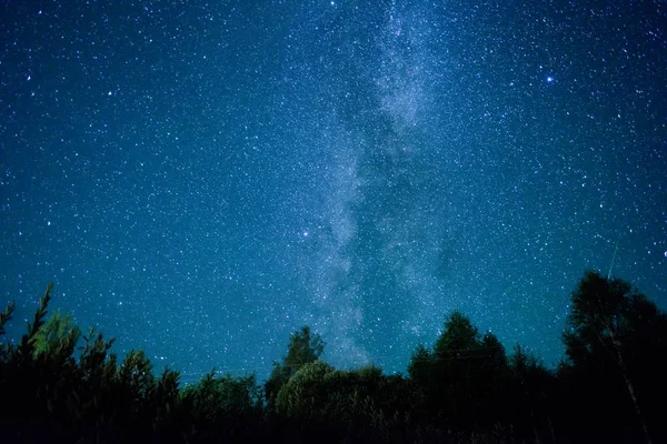 Vue sur les étoiles de la Voie lactée avec un pin au premier plan. Perséide pluie de météores en 2016 . — Photo