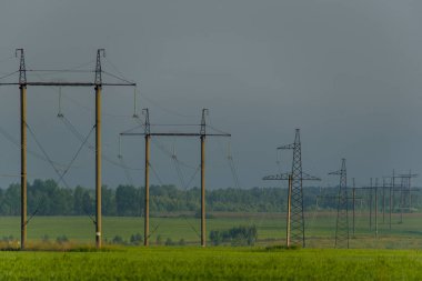 Yüksek gerilim hatları ve bir düz ve yeşil tarım peyzaj üzerinde şafakta güç pilonlar