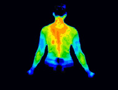 Upper body thermography clipart