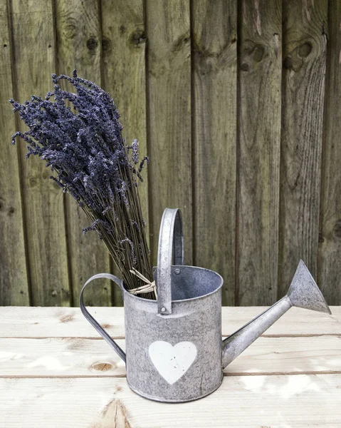 Lavender in watering can 1