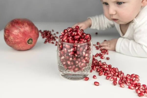 Malé dítě se dívá na zralé granátové jablko — Stock fotografie