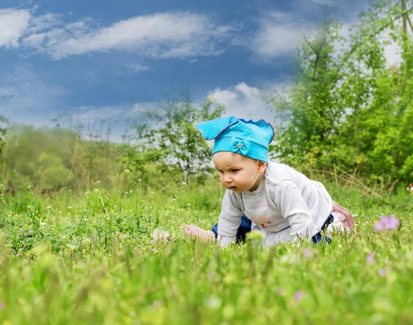 Little cute baby playing on the  flowering meadow Stock Picture