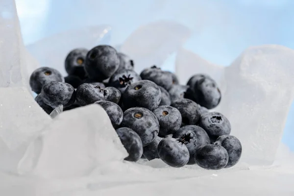 Verse Bosbessen Zijn Bevroren Koude Blauw Ijs — Stockfoto