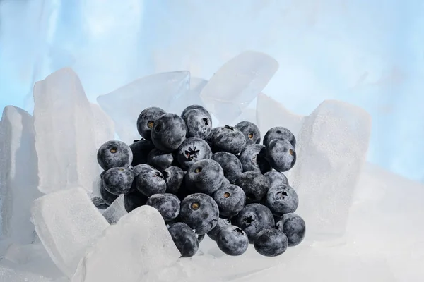 Свіжа Чорниця Заморожена Холодному Блакитному Льоду — стокове фото