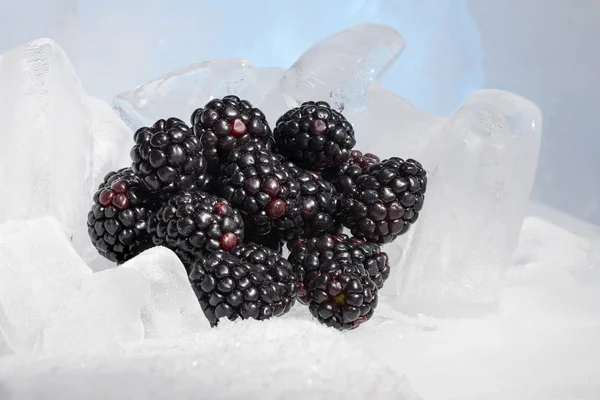 Taze Böğürtlen Berry Soğuk Mavi Buzda Donmuş — Stok fotoğraf