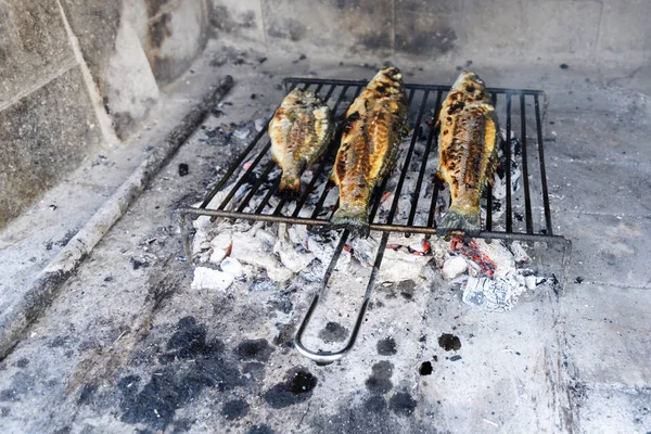 Sea bass grilled the traditional Dalmatian way on steel grill ba — Stock Photo, Image