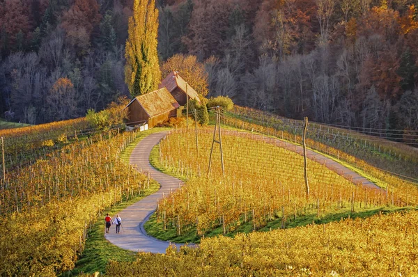 Ruta del Vino y viñedos en forma de corazón con dos caminantes — Foto de Stock