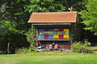 Slovenya geleneksel renkli ve güzel ahşap arı kovanı