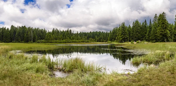 Crno jezero - Black lake on Pohorje, Slovenia
