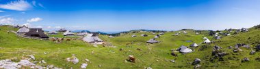 Velika planina Yaylası, Slovenya, dağ köyü Alpleri'nde, ahşap evler geleneksel tarzı, popüler hiking hedef, Xxl boyutu panorama