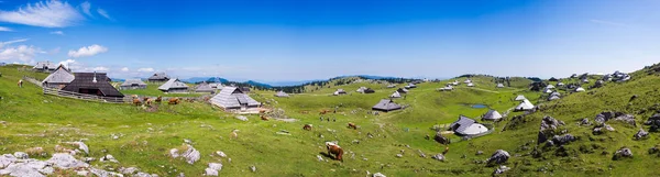 Plateau Velika planina, Slovénie, Village de montagne dans les Alpes, Maisons en bois dans un style traditionnel, destination de randonnée populaire, panorama de taille XXL — Photo