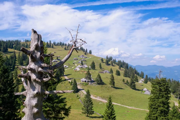 Velika planina plateau, Eslovenia, Pueblo de montaña en los Alpes, casas de madera en estilo tradicional, popular destino de senderismo —  Fotos de Stock