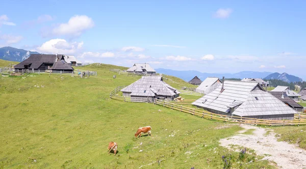 Planina planalto Velika, Eslovénia, Aldeia de montanha em Alpes, casas de madeira em estilo tradicional, destino de caminhadas popular — Fotografia de Stock