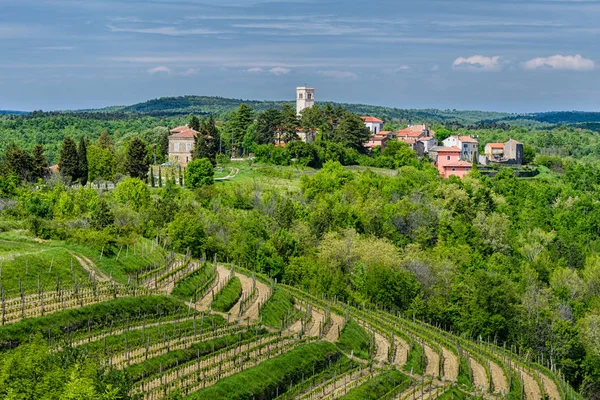Oprtalj - pequeño pueblo idílico en una colina en el centro de Istria — Foto de Stock