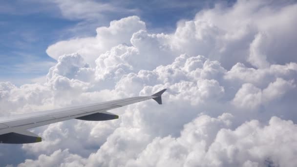 Vista desde la ventana del avión — Vídeo de stock