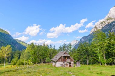 Dağ kabin Avrupa Alpleri'nde Robanov kot, Slovenya