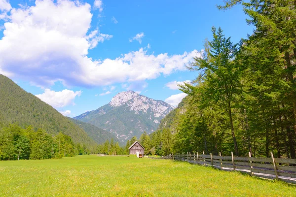 Un hermoso paisaje en las montañas, nubes sobre picos y bosque en primer plano — Foto de Stock