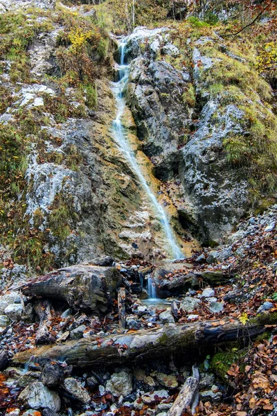 Longue exposition d'une petite cascade descendant à travers les rochers et la mousse — Photo