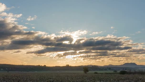 Zonsopgang op het veld, de tijd komen te vervallen, uitzoomen — Stockvideo