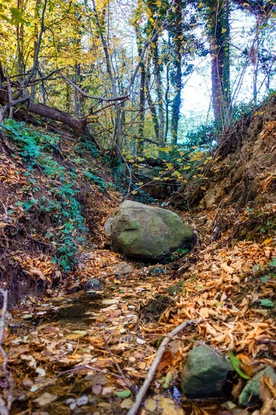 Sonbahar yaprakları ve kaya ile küçük bir doğal Gorge — Stok fotoğraf