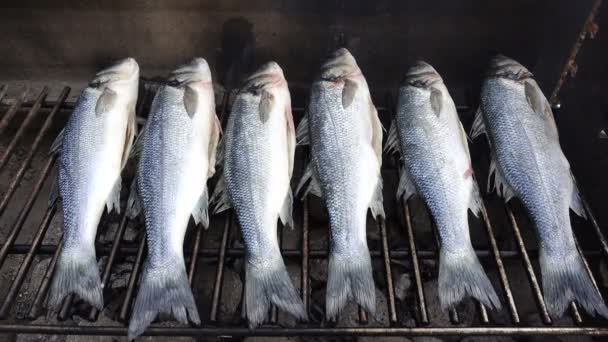 Lubina Fresca a la Brasa en la Barbacoa — Vídeo de stock