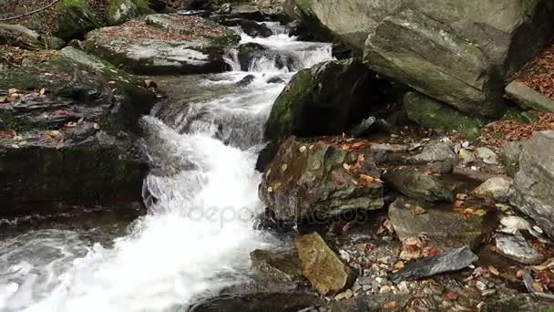 Uma cachoeira nas montanhas, floresta de outono com folhagem — Vídeo de Stock