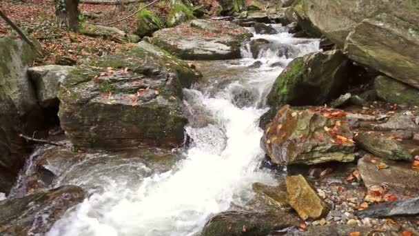 A vízesés a hegyekben, őszi erdő lombozat — Stock videók