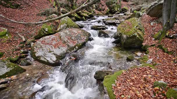 Una cascada en las montañas, bosque otoñal con follaje — Vídeos de Stock