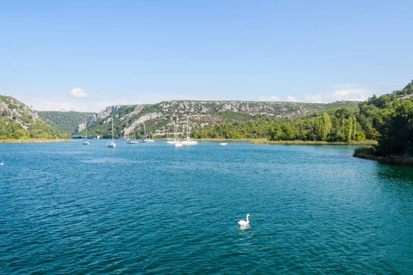 Grup yat, yelkenli tekne koyda demirli