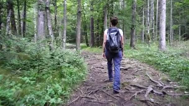 Жінка ходить в лісі по битій стежці — стокове відео