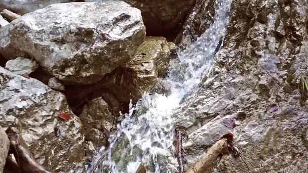 Närbild på vattenfall, vatten faller över stenar i slow motion, strömmar faller över stenar, stänk, liten fjällbäck — Stockvideo