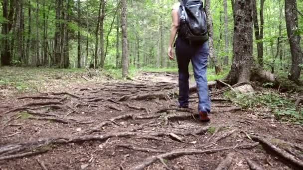 Женщина, идущая в лес по заброшенной тропинке, проходя мимо зрителя — стоковое видео
