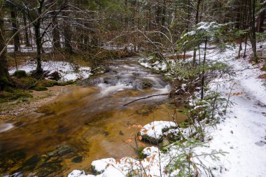 Dağ nehir, dere, dere geç sonbaharda, kar, vintgar gorge, Slovenya ile erken kış Rapids'de ile