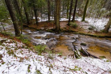 Dağ nehir, dere, dere geç sonbaharda, kar, vintgar gorge, Slovenya ile erken kış Rapids'de ile