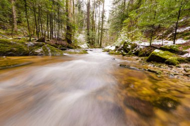 Dağ nehir, dere, dere geç sonbaharda, kar, vintgar gorge, Slovenya ile erken kış Rapids'de ile