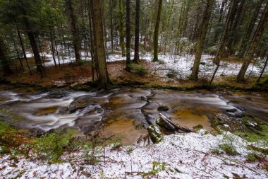 Dağ nehir, dere, dere geç sonbaharda, kar, vintgar gorge, Slovenya ile erken kış Rapids'de ile