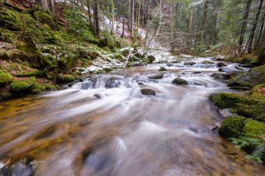 Dağ nehir, dere, dere geç sonbaharda, kar, vintgar gorge, Slovenya ile erken kış Rapids'de ile