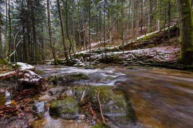 Ladin, köknar woods, dağ nehir, dere, geç sonbaharda Rapids'de ile creek, erken kış kar, vintgar gorge, Slovenya ile büyük düşmüş göğüs