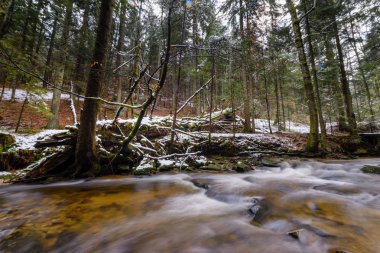 Ladin, köknar woods, dağ nehir, dere, geç sonbaharda Rapids'de ile creek, erken kış kar, vintgar gorge, Slovenya ile büyük düşmüş göğüs