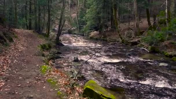 Río de montaña, agua que fluye sobre rocas y rocas — Vídeos de Stock