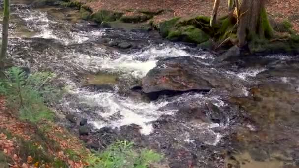 Mountain river, vatten som rinner över stenar och stenblock — Stockvideo