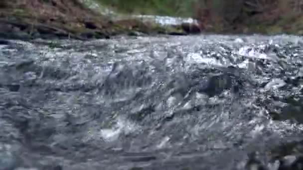 Mountain river, vatten som rinner över stenar och stenblock — Stockvideo