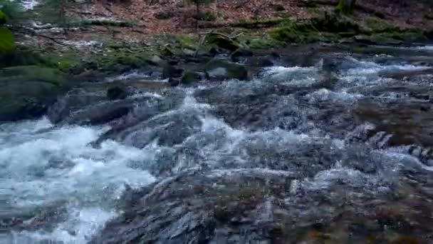 Berg rivier, water stroomt over rotsen en keien — Stockvideo