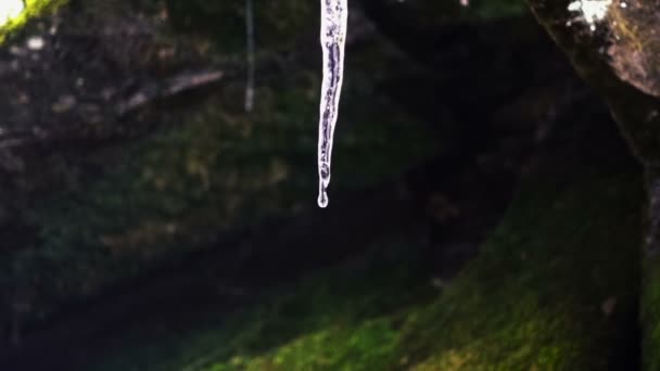 Melting Icicles on dark background — Stock Video