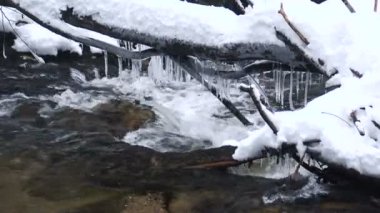 Ormanda kış kar ile güzel bir kristal berraklığında dere akar