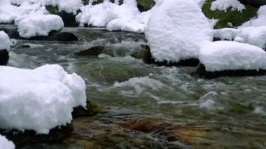 Ormanda kış kar ile güzel bir kristal berraklığında dere akar