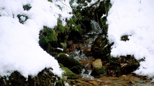 Piękny krystalicznie czysty strumień Zimą śnieg przepływa przez Las — Wideo stockowe