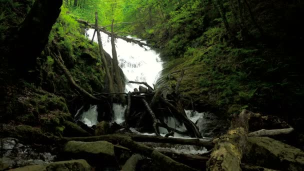 Rio de montanha com corredeiras e cachoeiras córrego que flui através de floresta verde grossa. Fluxo em madeira densa — Vídeo de Stock