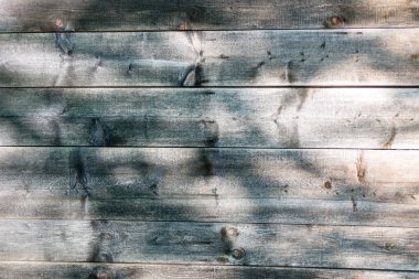 Rustik, vintage, yıpranmış ahır ahşap, ahşap plakalar, bağlamaya gnarls arka plan ve delik tırnak