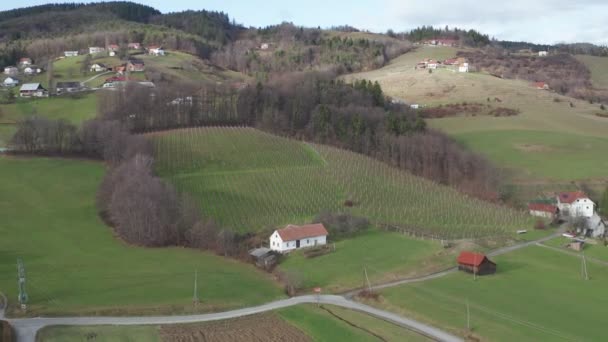 Vignoble et maison abandonnée, campagne rurale vue aérienne, paysage européen à flanc de colline — Video